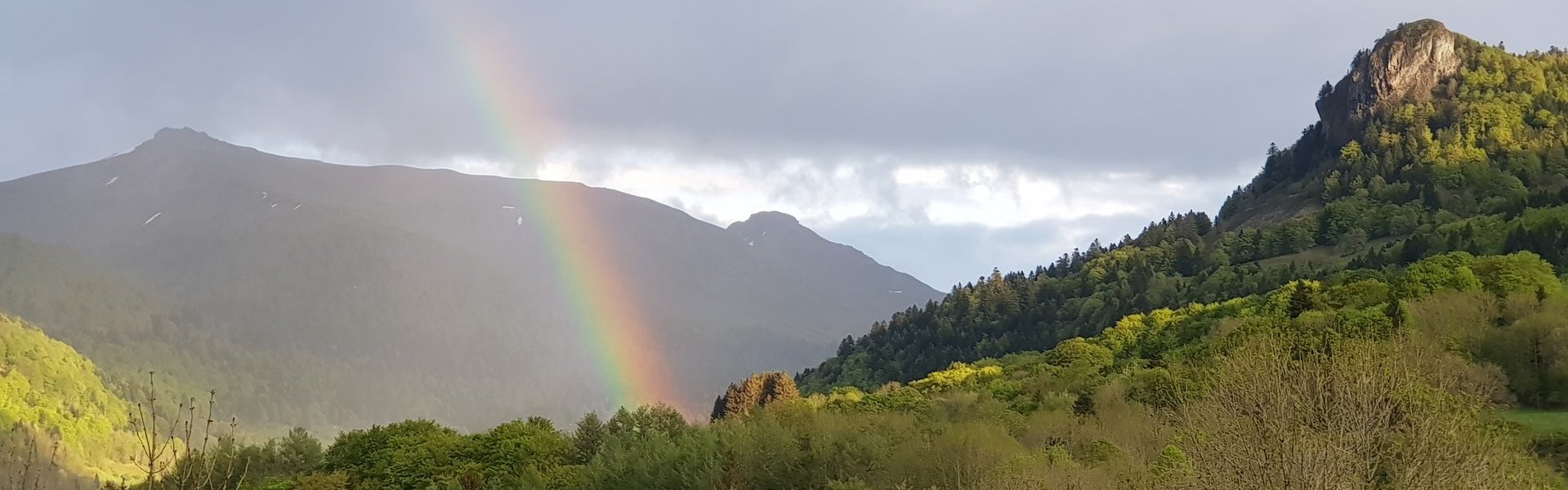 Le Falgoux d' Antan  Nature Forêt Puy Mary Cantal Auvergne