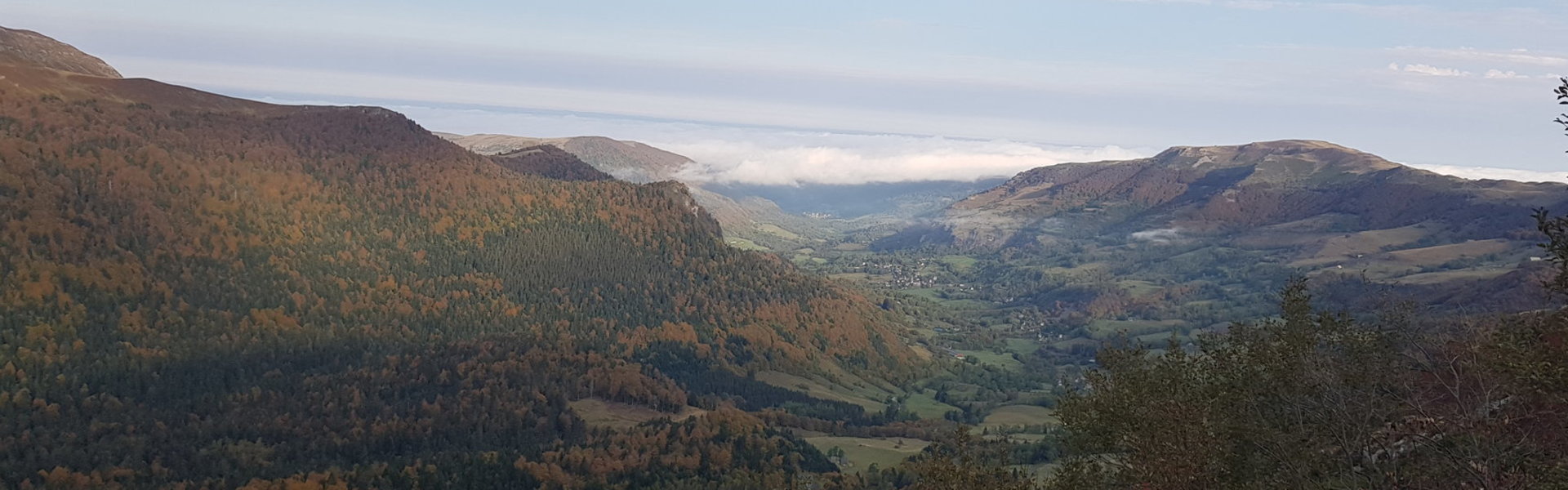 Le Falgoux d' Antan  Nature Forêt Puy Mary Cantal Auvergne