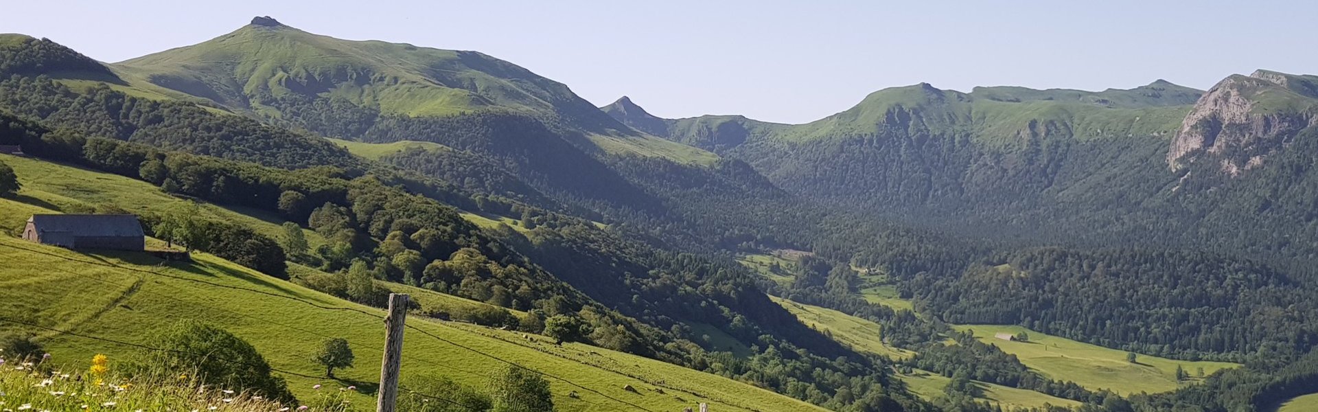 Le Falgoux d' Antan  Nature Forêt Puy Mary Cantal Auvergne